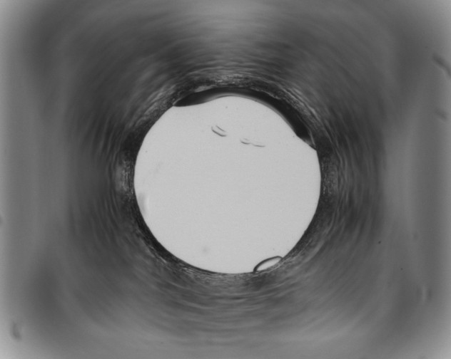 X0000096670044200803041229