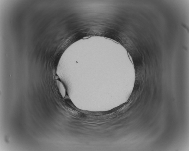 X0000096670045200803041229