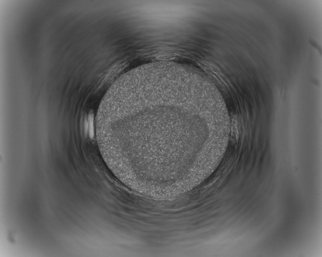X0000096670046200803041229