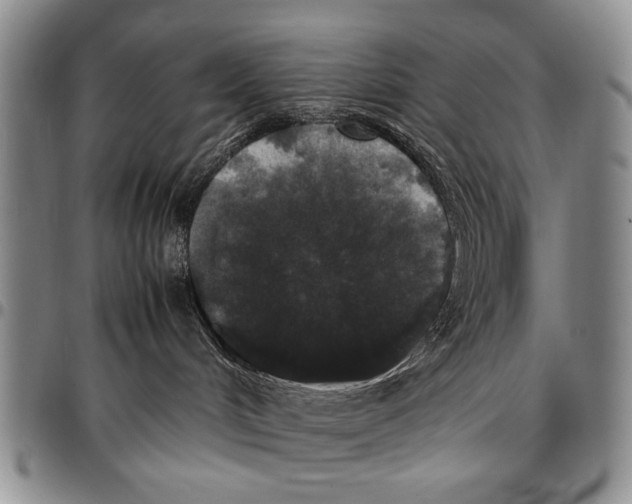 X0000096670048200803041229