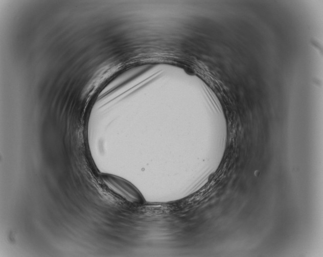 X0000096670050200803041229