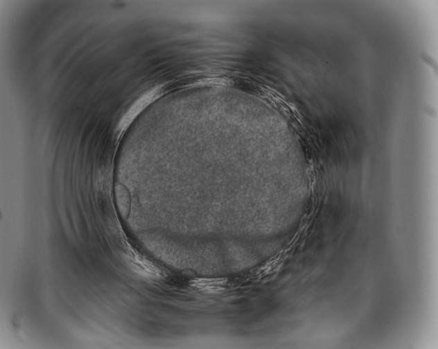 X0000096670051200803041229