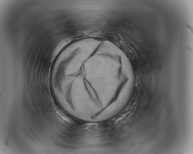 X0000096670052200803041229