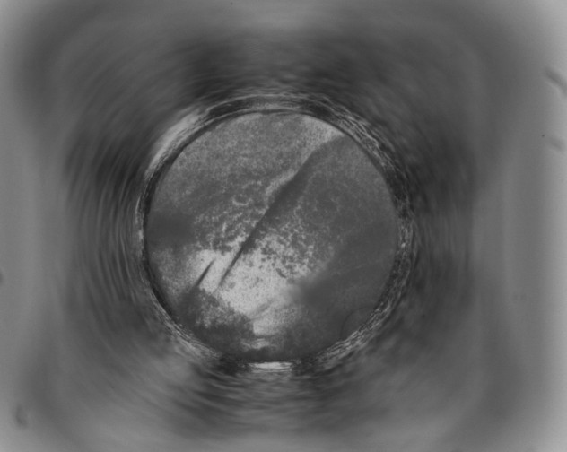 X0000096670053200803041229