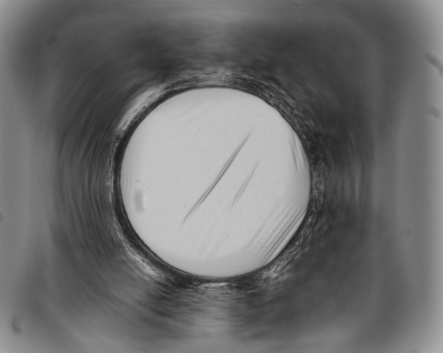X0000096670054200803041229