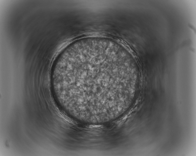 X0000096670055200803041229