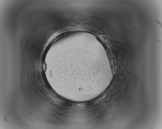 X0000096670056200803041229