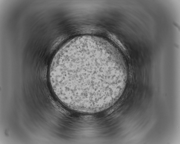 X0000096670058200803041229
