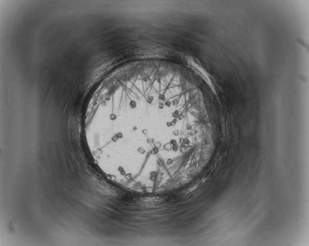 X0000096670059200803041229