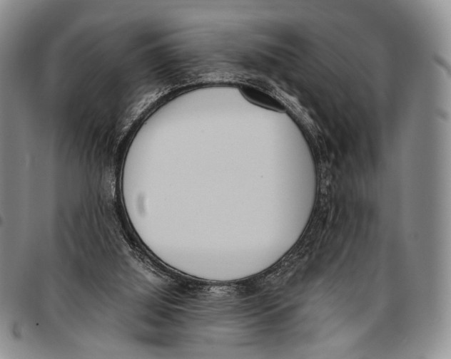 X0000096670060200803041229