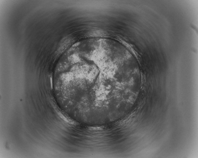 X0000096670061200803041229