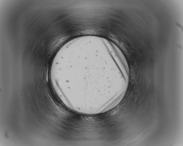 X0000096670062200803041229