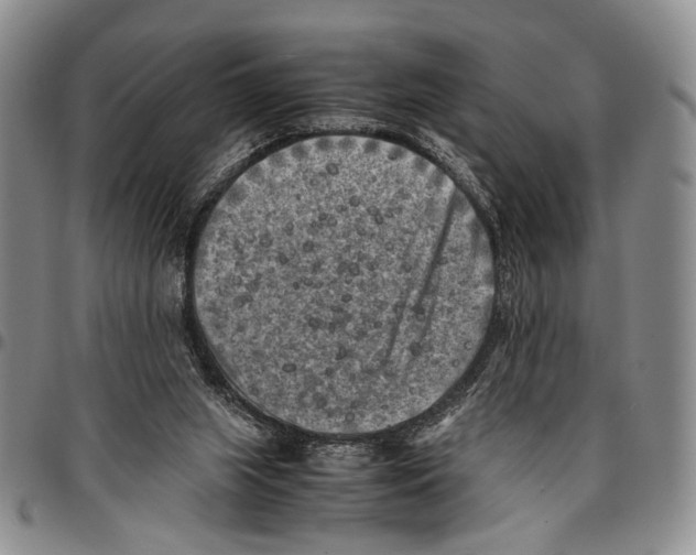 X0000096670063200803041229