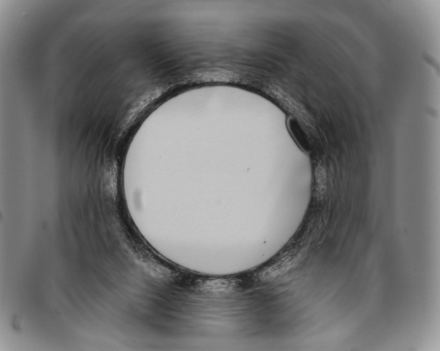 X0000096670064200803041229