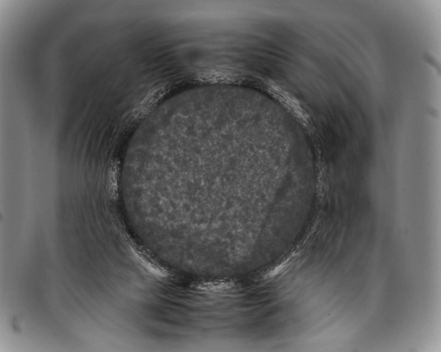 X0000096670065200803041229