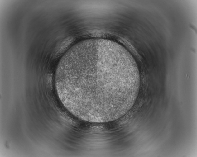 X0000096670066200803041229