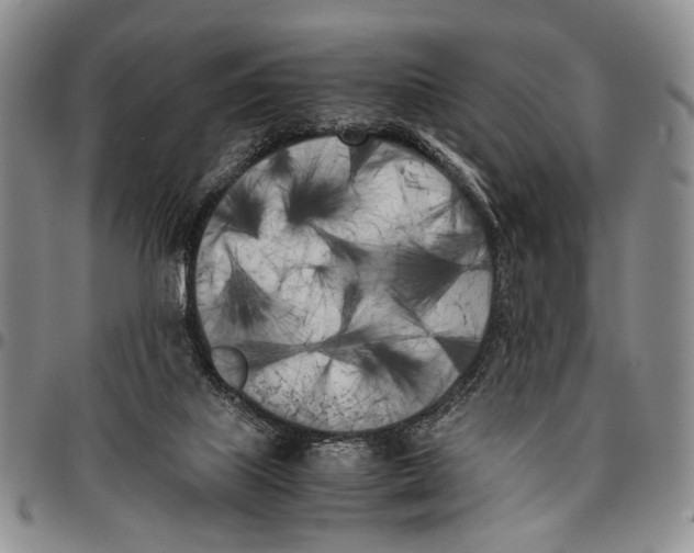 X0000096670067200803041229