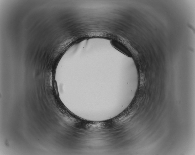 X0000096670068200803041229