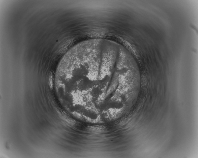 X0000096670069200803041229