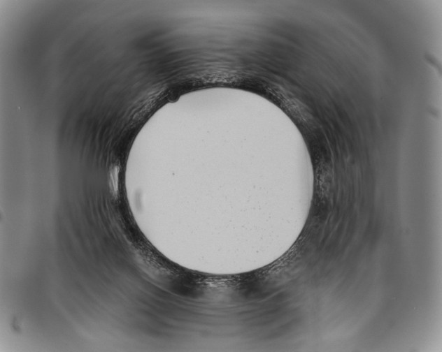X0000096670070200803041229