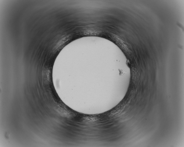 X0000096670071200803041229
