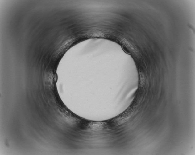 X0000096670072200803041229