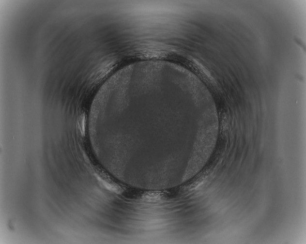 X0000096670076200803041229