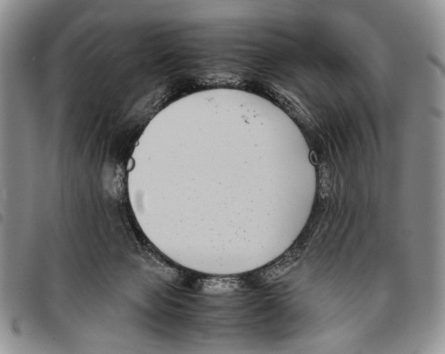X0000096670077200803041229