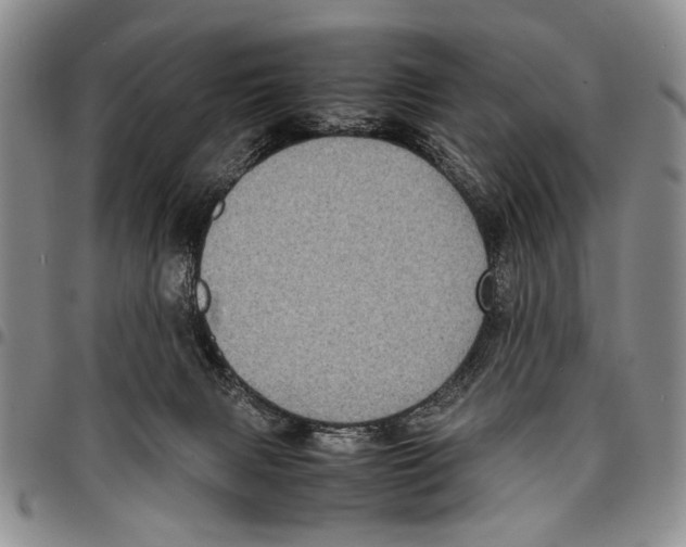 X0000096670079200803041229