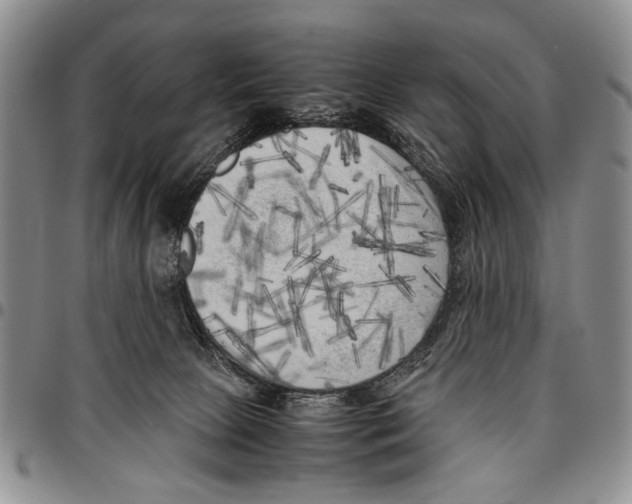 X0000096670081200803041229