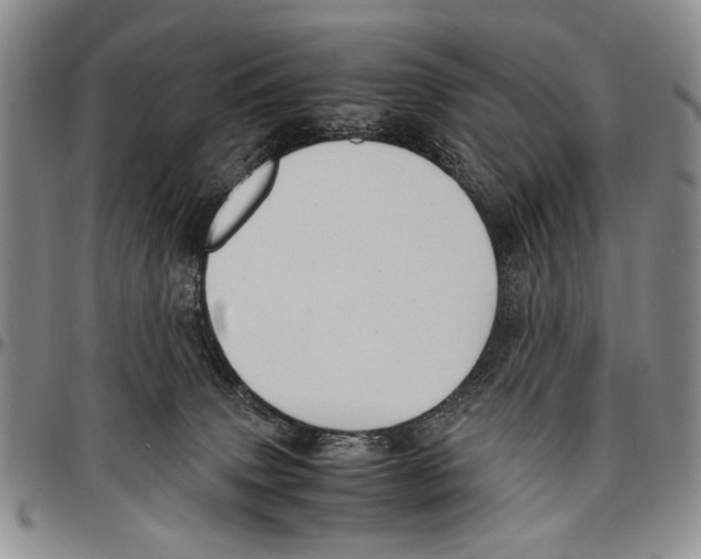X0000096670083200803041229