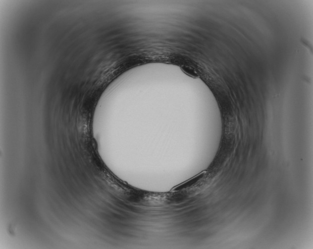 X0000096670084200803041229
