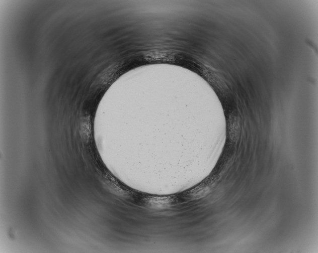 X0000096670085200803041229
