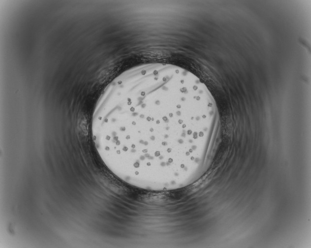 X0000096670086200803041229