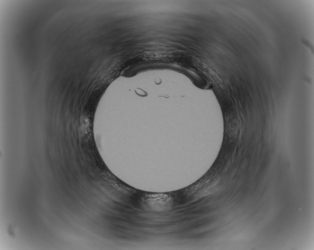 X0000096670087200803041229