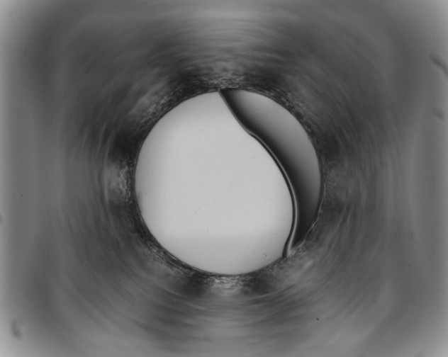 X0000096670088200803041229