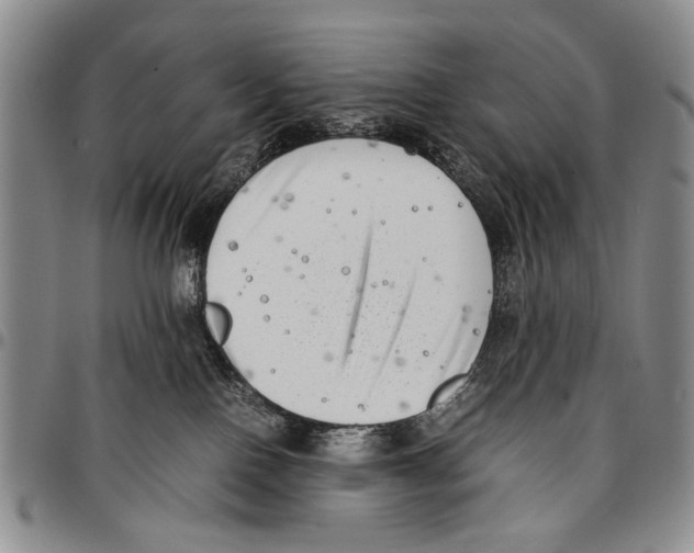 X0000096670090200803041229