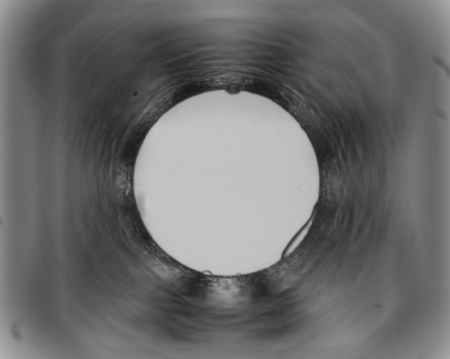 X0000096670091200803041229