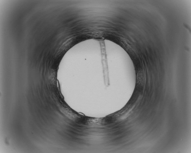 X0000096670092200803041229