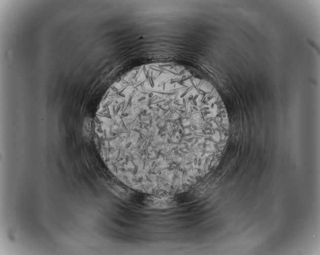 X0000096670093200803041229