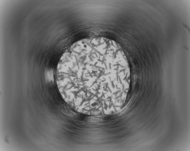 X0000096670094200803041229