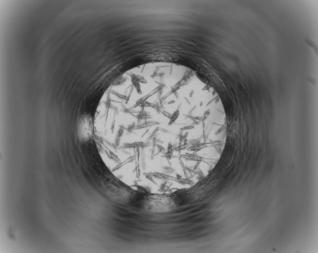 X0000096670095200803041229