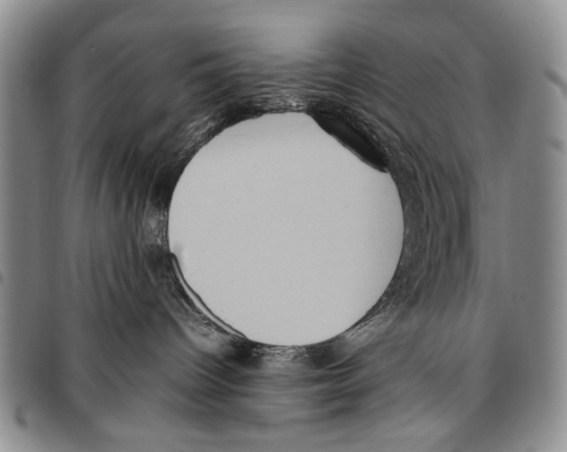 X0000096670096200803041229