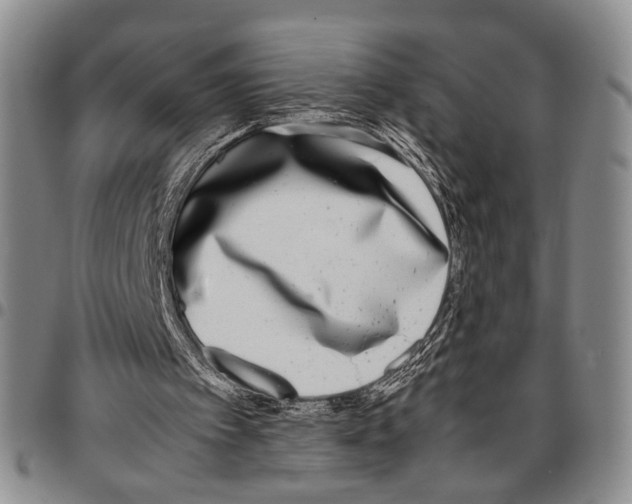 X0000096670097200803041229