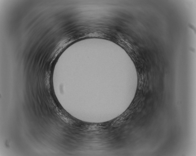 X0000096670098200803041229