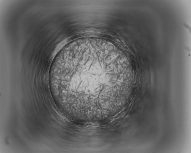 X0000096670099200803041228