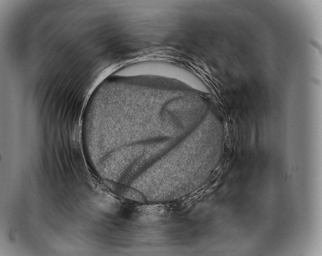 X0000096670100200803041228