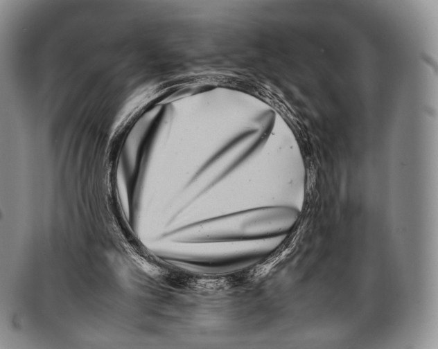 X0000096670101200803041228