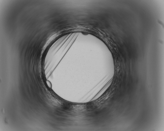 X0000096670102200803041228