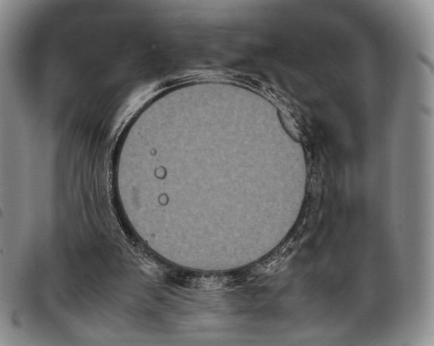 X0000096670103200803041228